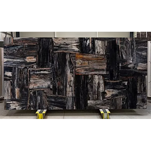 Petrified Wood Black & White Retro