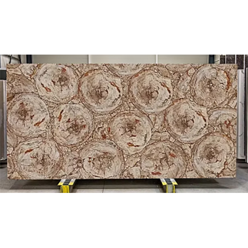 Petrified Wood Cremo Circular
