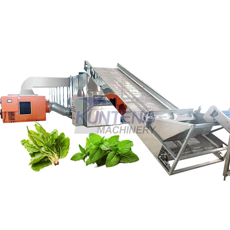 Continuous Plantain Herb Osmanthus Flower Dryer Lemongrass Leaves Dryer Mint Leaves Dryer Drying Machine