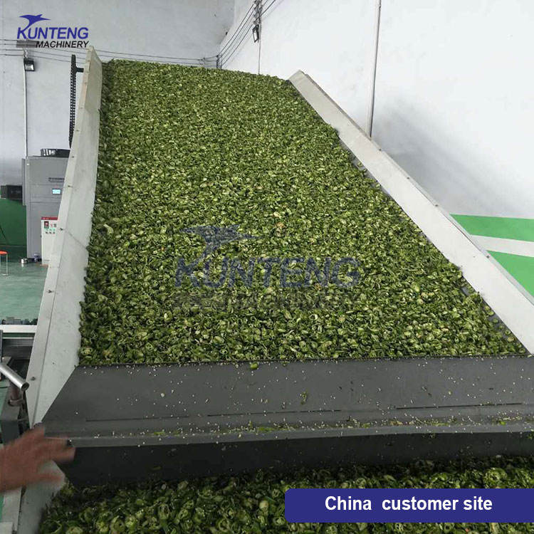 Continuous Plantain Herb Osmanthus Flower Dryer Lemongrass Leaves Dryer Mint Leaves Dryer Drying Machine