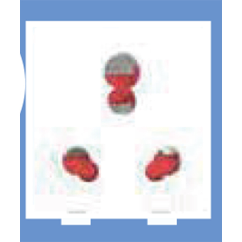 25A UNI SOC (पॉर्सेलिन बेस) 2m