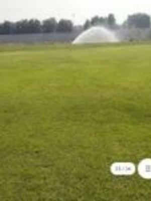 Cricket ground natural grass