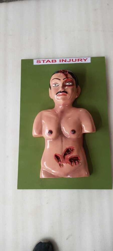 Stab Injury Model - Application: Lab Study Of Medical Science Student