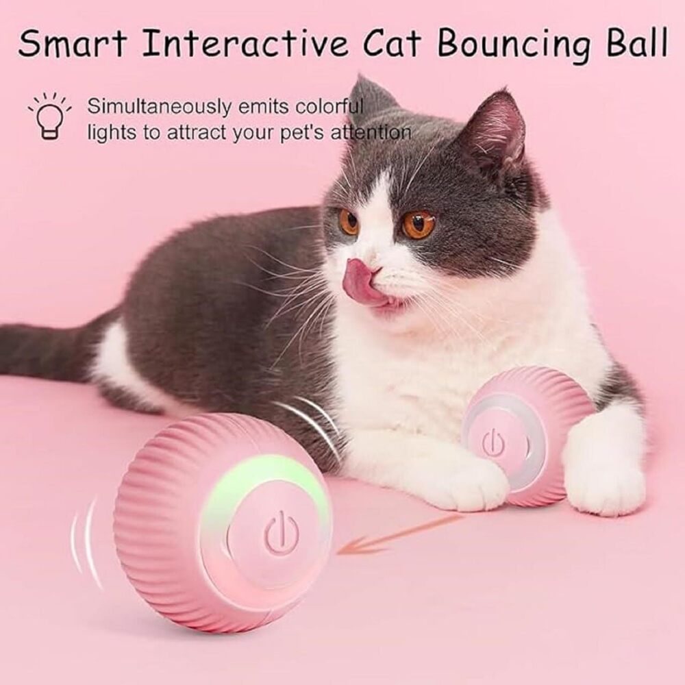 Viapt004 Cat Teaser Ball - Application: Small Animals