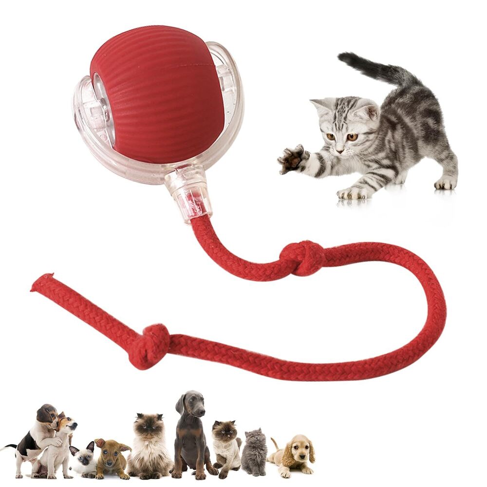 Viat007 Pet Rolling Teaser Ball - Application: Small Animals