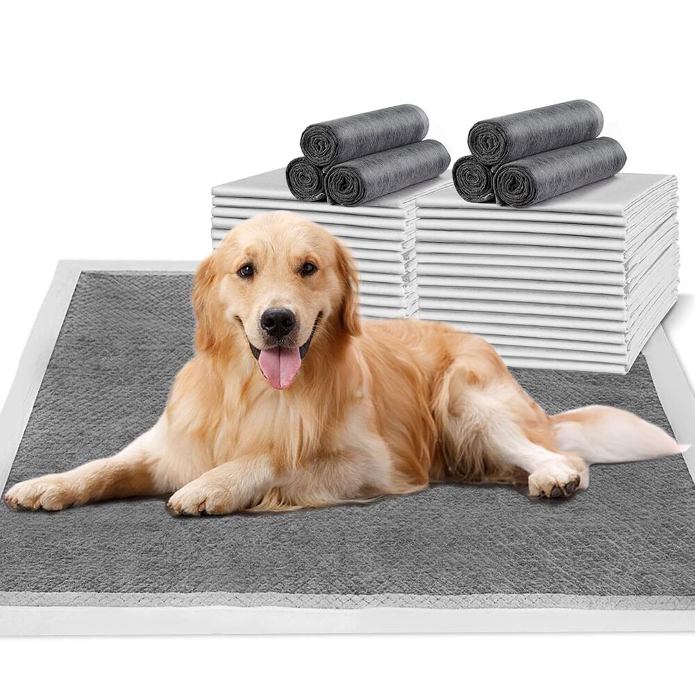 Charcoal Pee Pad Pack Of 2 - Application: Small Animals