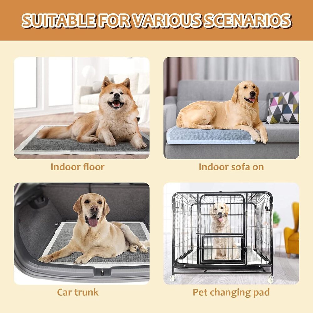 60X60 Black Charcoal Pee Pad - Application: Small Animals