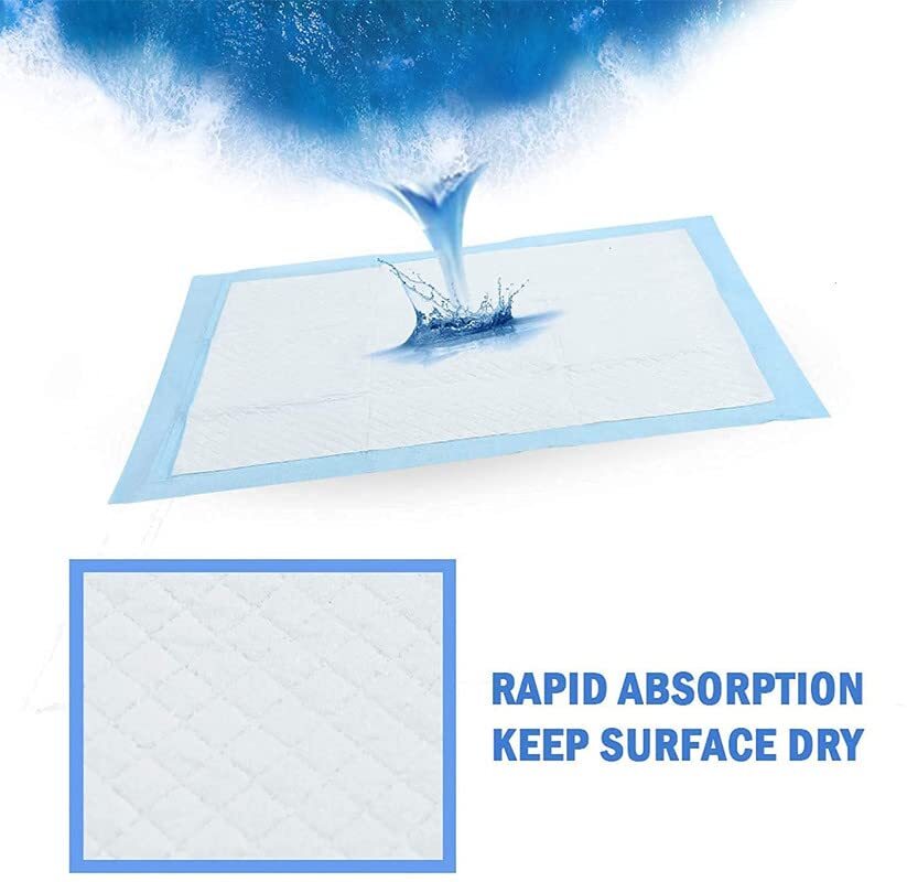 60x60 Normal Pee Pad Pack Of 2
