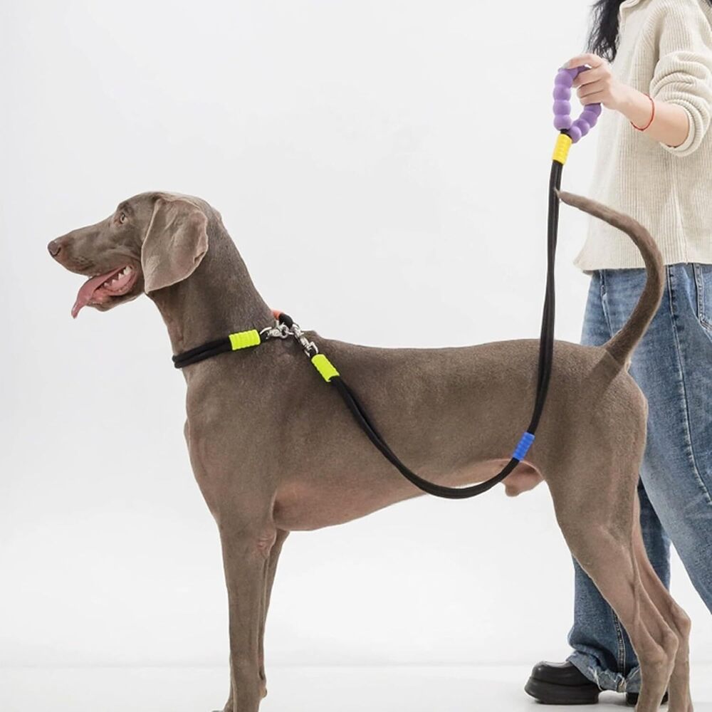 Premium Rope Leash - Application: Small Animals