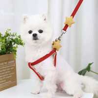 VIAPG009 Star Dog Leash