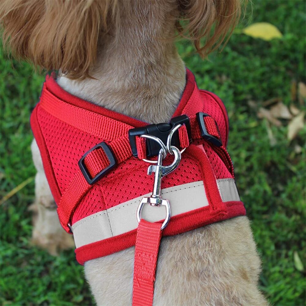 Viapg011-A Dog Harness - Application: Small Animals