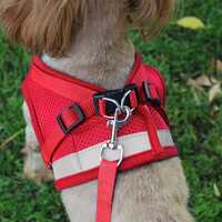 Viapg011-a Dog Harness - Application: Small Animals