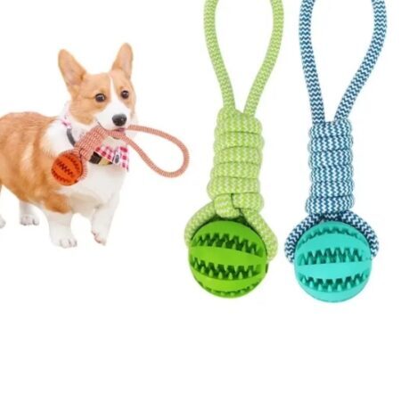 Dog Chew Ball With Rope - Application: Small Animals