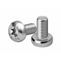 Hexabular Socket Pan Head Torx Screw - Color: Silver