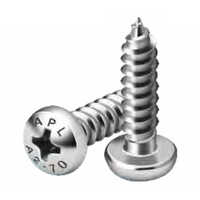 Cross Ressesed Pan Head Tapping Screw - Color: Silver
