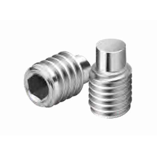 Hex Socket Set Screw Dog Point - Color: Silver
