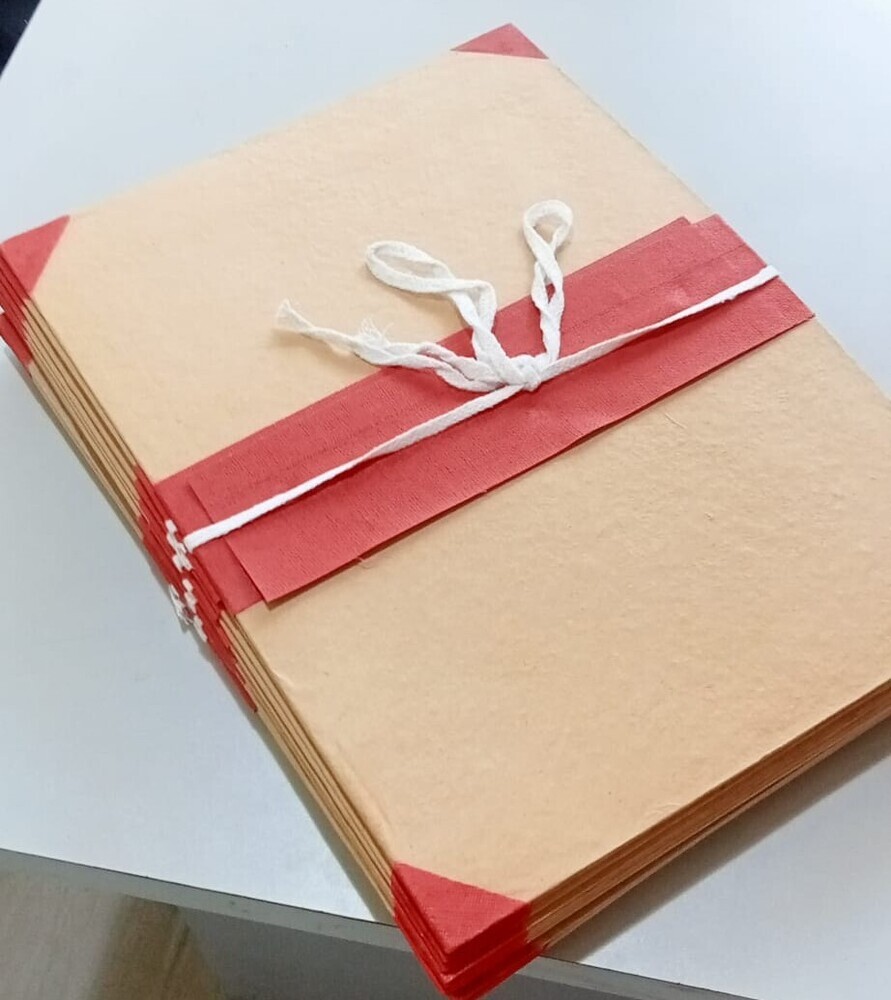 2Flap Board file (red)