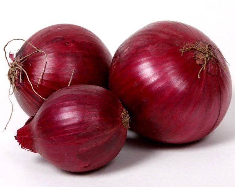 Fresh Red Onion - Packaging Size: 16 Kg