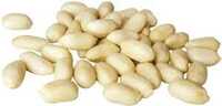 Blanched Peanuts - Cultivation Type: Common