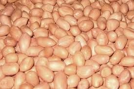 Natural Peanuts