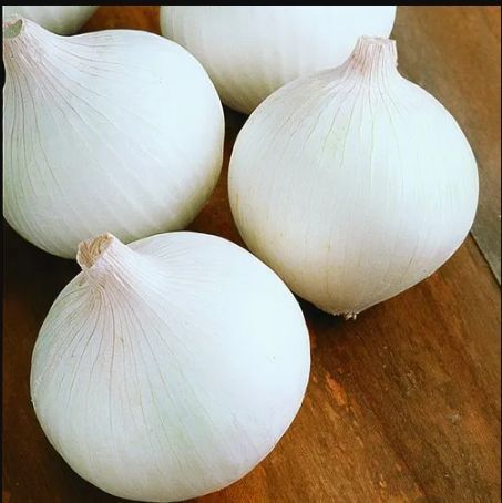 Fresh White Onion - Packaging Size: 16 Kg