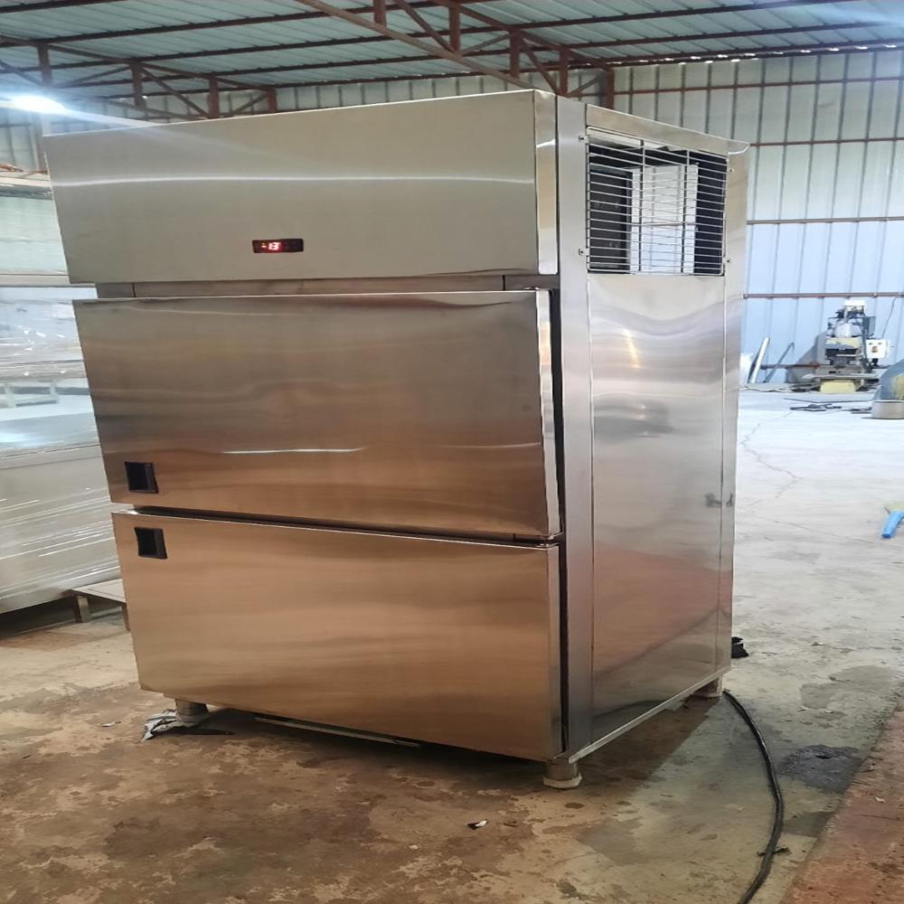 Two Door Vertical Refrigerator - Stainless Steel, Customized Size, Silver Color | Industrial Double-temperature, 220v