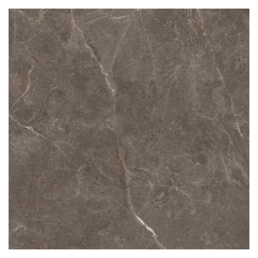 600X600Mm 3004 Porcelian Tiles - Feature: Antibacterial