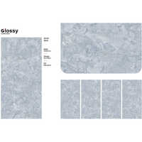 600x1200mm Arch Azul Digital Vitrified Tiles - Feature: Acid-resistant