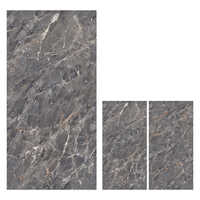 600x1200mm Caserd Natural Digital Vitrified Tiles - Feature: Acid-resistant