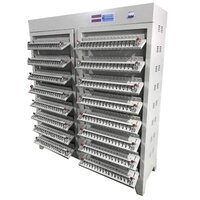 Lithium Cell Testing Machine - Accuracy: 99  %