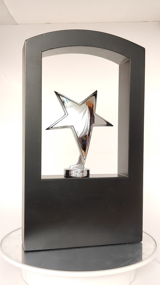 Gold Plated Metal Trophies