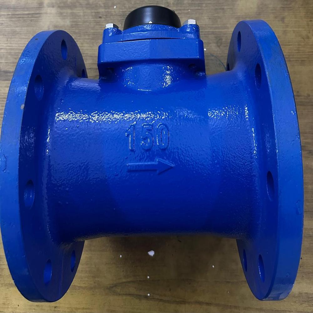 Flange End Water Meter