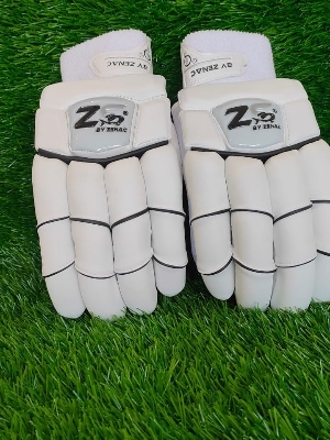 Cricket Batting Gloves
