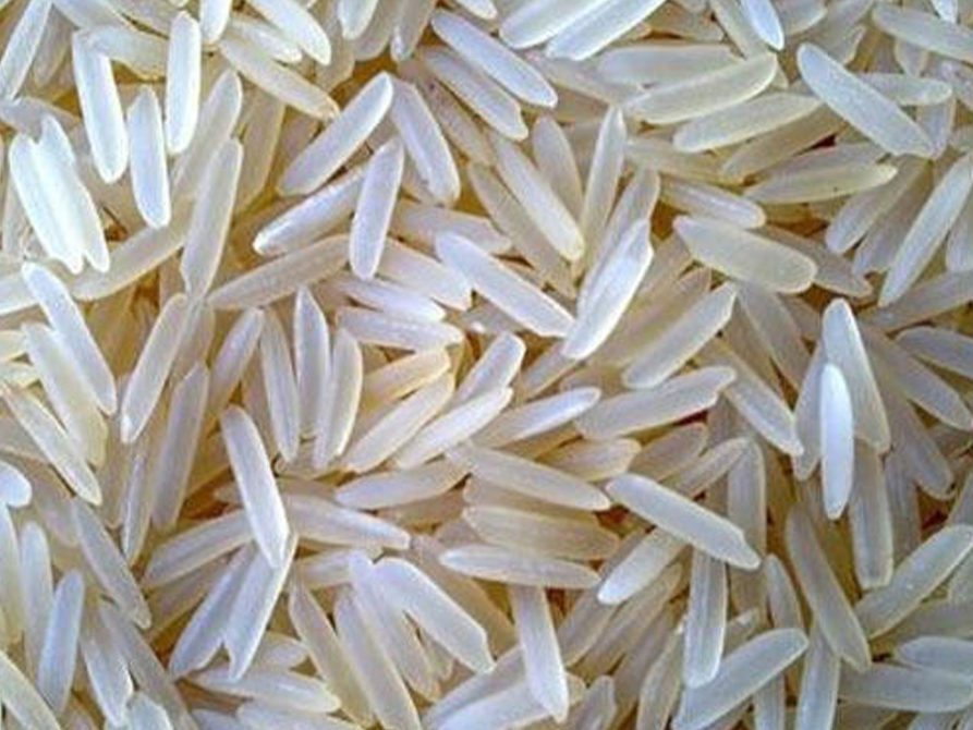 Fresh indian rice