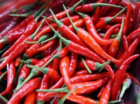 Fresh red chilli