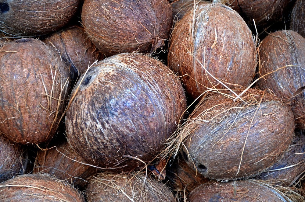 Husk coconut