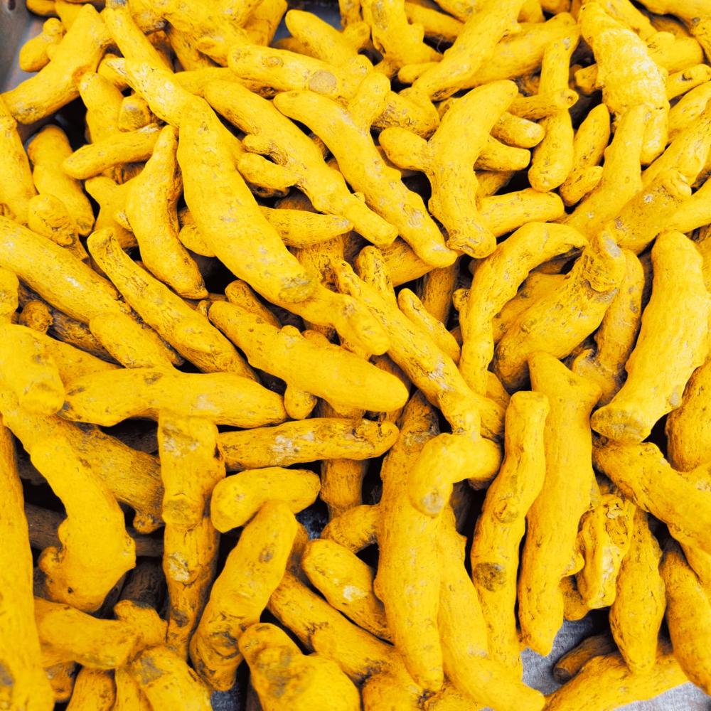 Salem Turmeric Finger - Color: Yellow