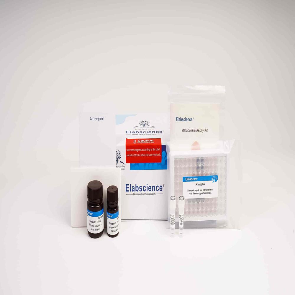 Lactate Dehydrogenase Kit 96t - Application: Required During The Process Of Turning Sugar Into Energy For Your Cells.
