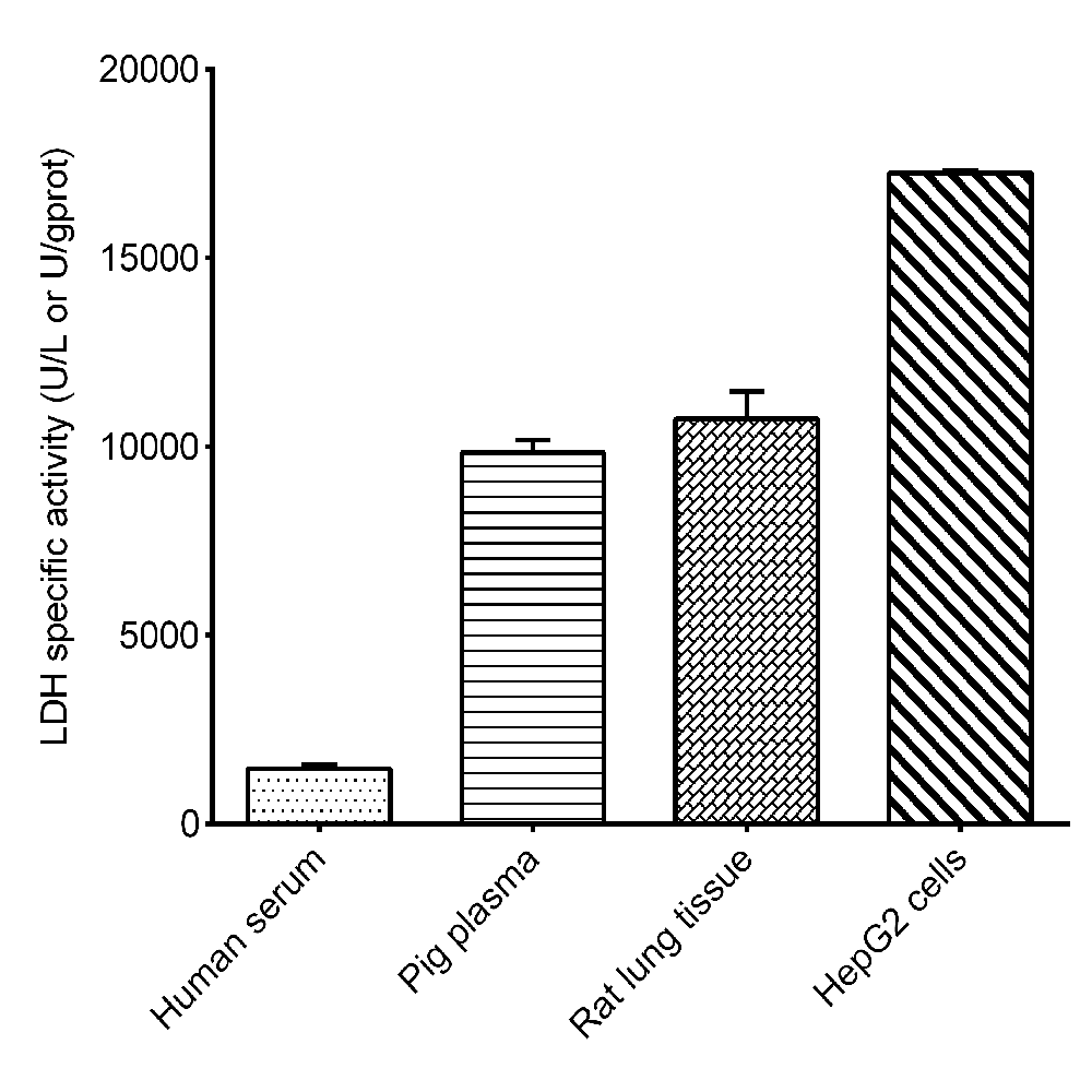 Lactate Dehydrogenase Kit 96T