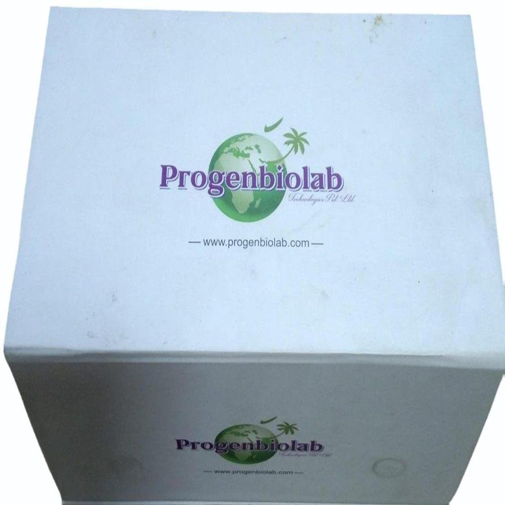 Chloram-phenicol ELISA Kit