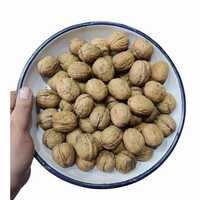 34mm Chile Walnut