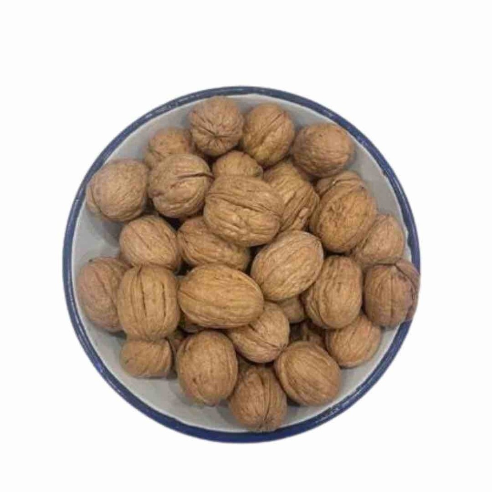 36Mm Chile Walnut - Color: Brown