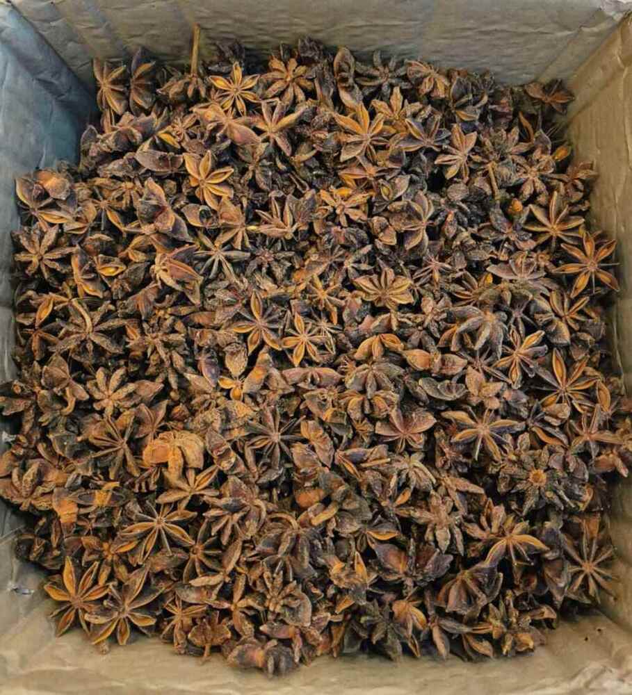 Star Anise - Color: Brown