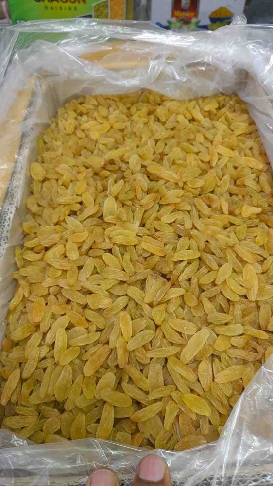 Golden Raisin - Grade: Diffrant Size Of Gradeings