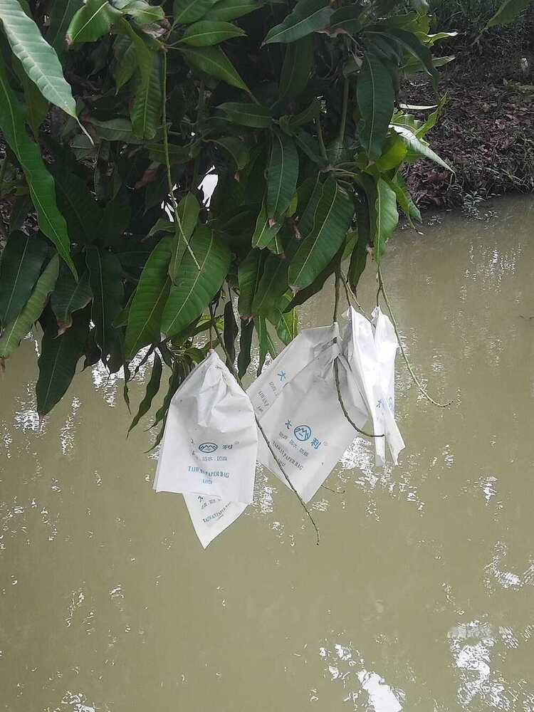 M-9999 21x32CM Fruit Protection Bag