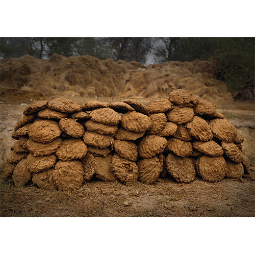 Cow Dung - Color: Brown