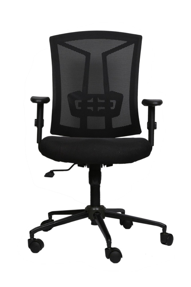 Alexander Executive Chair - Application: Office
