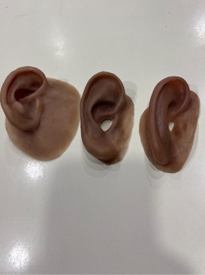Cosmetic Ear Prosthesis Artificial Ear