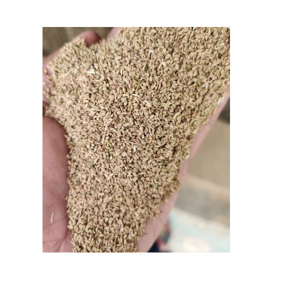 Ajwain Bishop Seed - Color: Brown