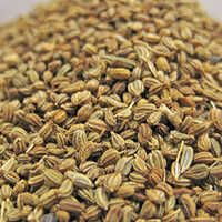 Roasted Ajwain Seeds